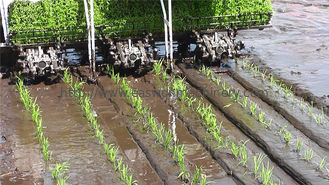 120mm170mm Machine 6 van de Rijstplantmachine Rijen die de Plantmachine van de Typerijst berijden