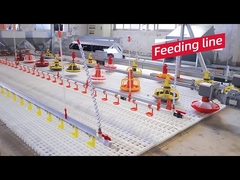 Het hete van het de kippenrenontwerp van de Verkoop Automatische Kip materiaal van het het gevogeltelandbouwbedrijf