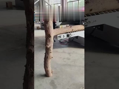 MGJY10-30WS dubbele spindel log Multi-zaag