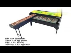 eiersorteermachine
