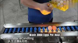 200A eierwasmachine