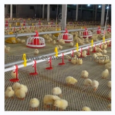 Materiaal van het het Gevogeltelandbouwbedrijf van de kippenkippenren het Automatische met Ventilatiesysteem