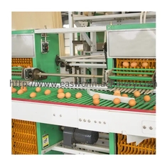 H Type het Automatische van de het Materiaalbatterij van de Laagpluimveehouderij van het de Kippenei Systeem van de de Laagkooi